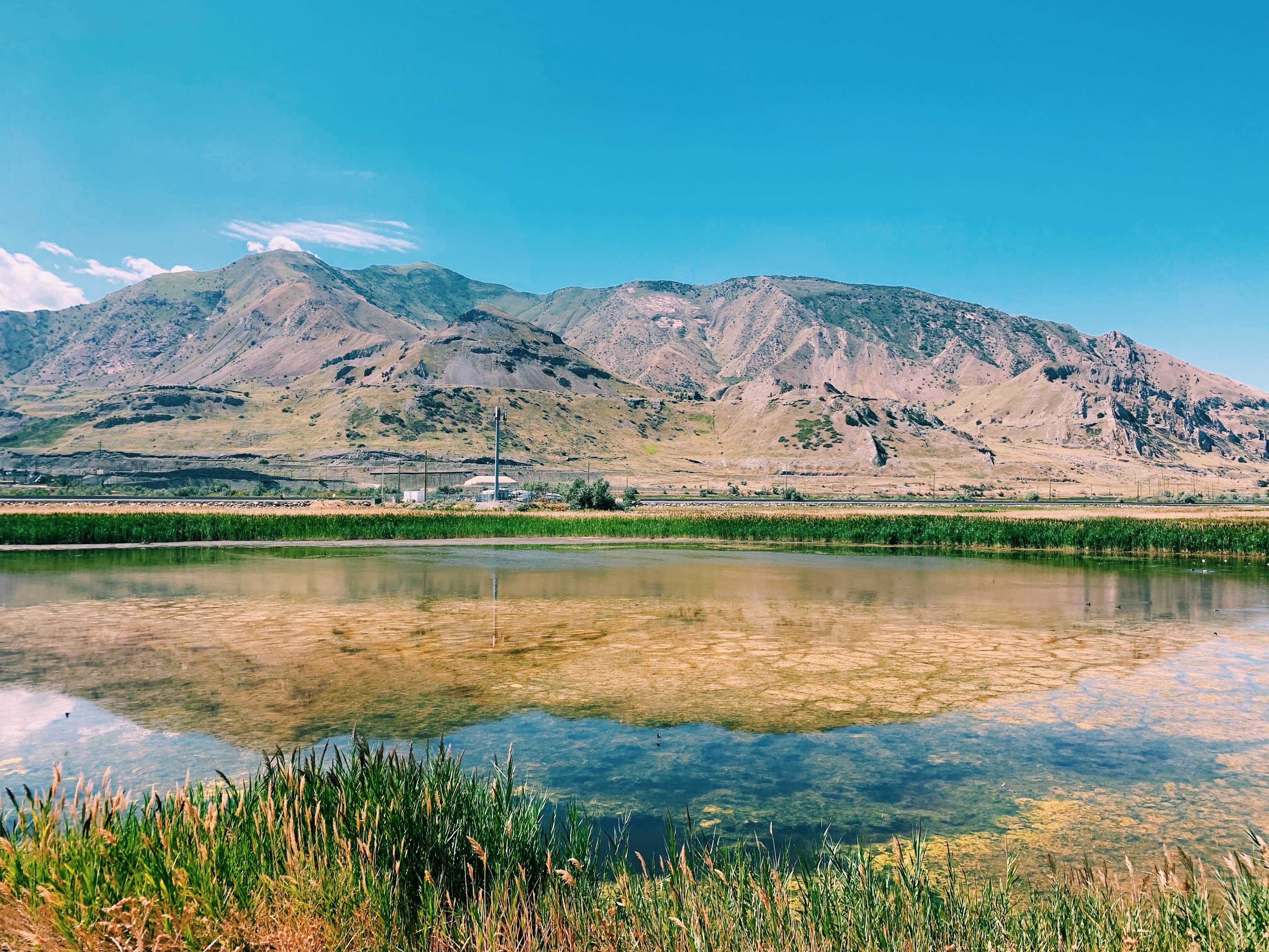 Nora S.'s photo of a dispersed camping area at Bridgeport Travertine Hot Springs Dispersed near Wellington, NV