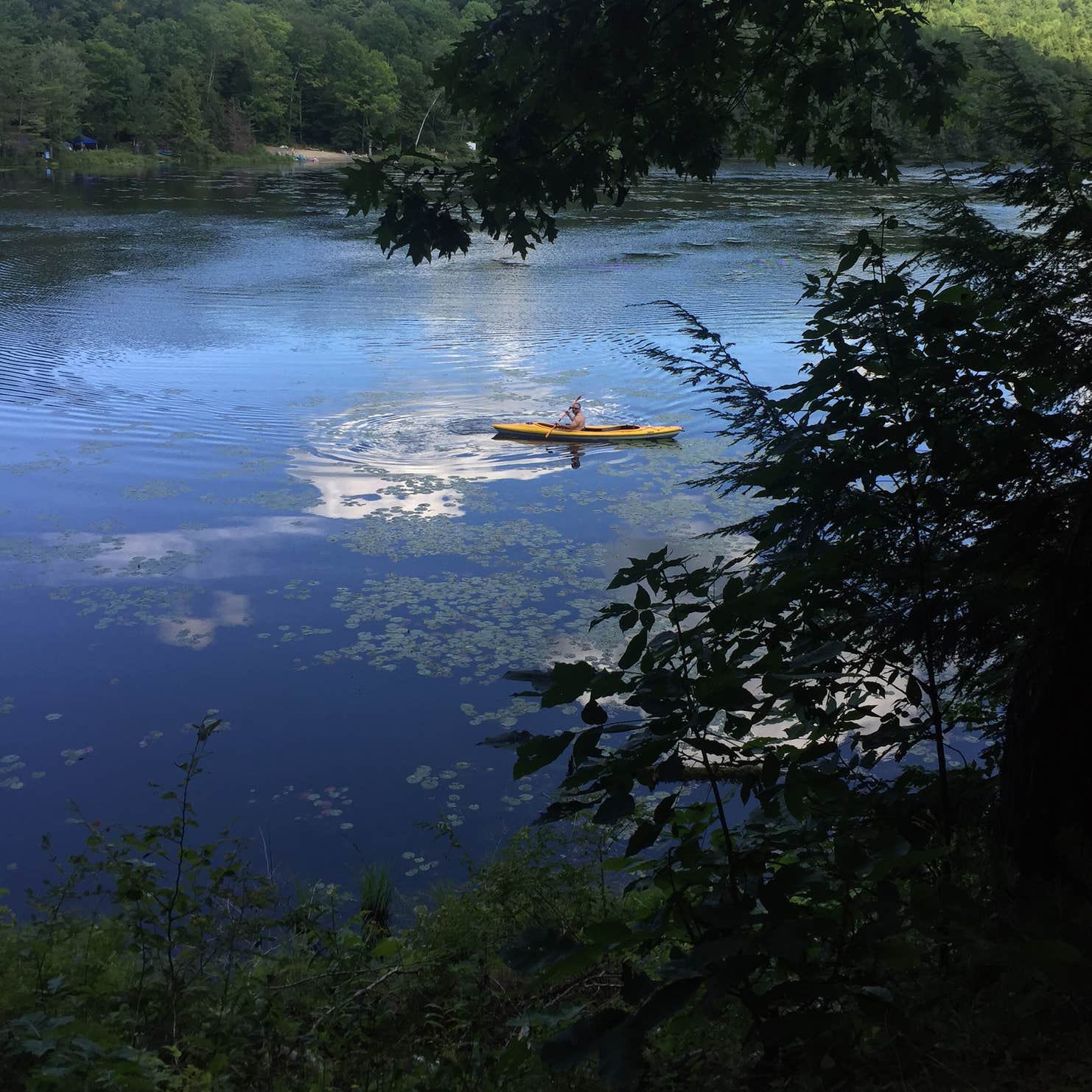 Half Moon Pond State Park Camping | The Dyrt