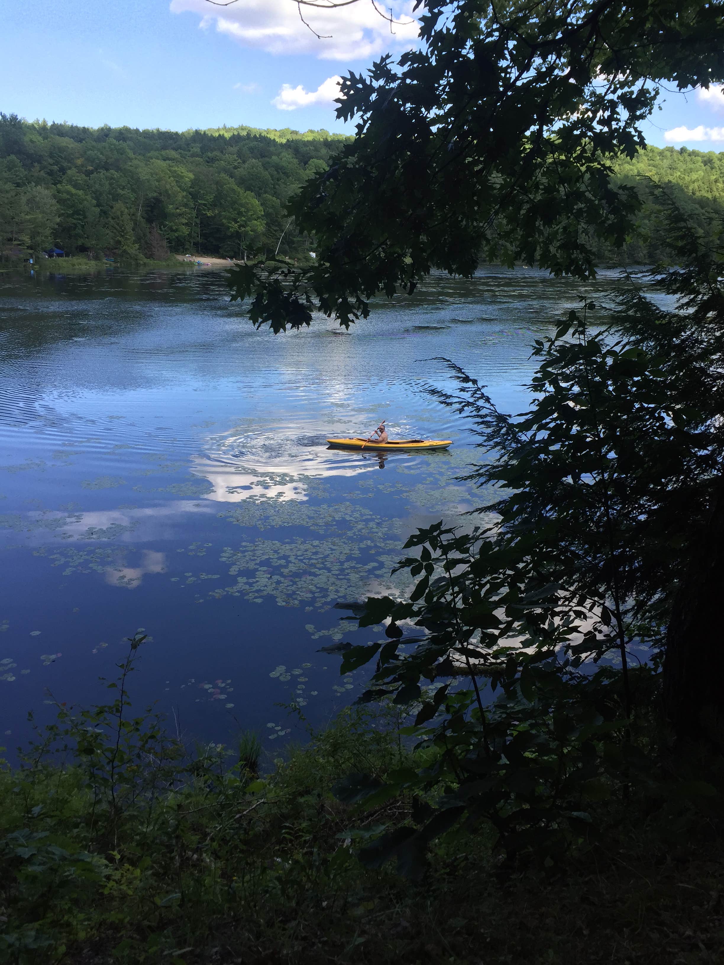 Camper submitted image from Half Moon Pond State Park Campground - 4