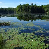 Review photo of Half Moon Pond State Park Campground by Michele S., August 4, 2020