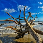 Review photo of Edisto Beach State Park Campground by Kevin & Amy A., August 4, 2020