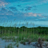 Review photo of Myrtle Beach State Park Campground by Kevin & Amy A., August 4, 2020