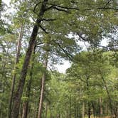 Review photo of Gum Springs Recreation Area — Kisatchie National Forest by Chris & Rosanne C., August 4, 2020