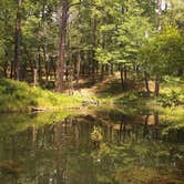 Review photo of Gum Springs Recreation Area — Kisatchie National Forest by Chris & Rosanne C., August 4, 2020