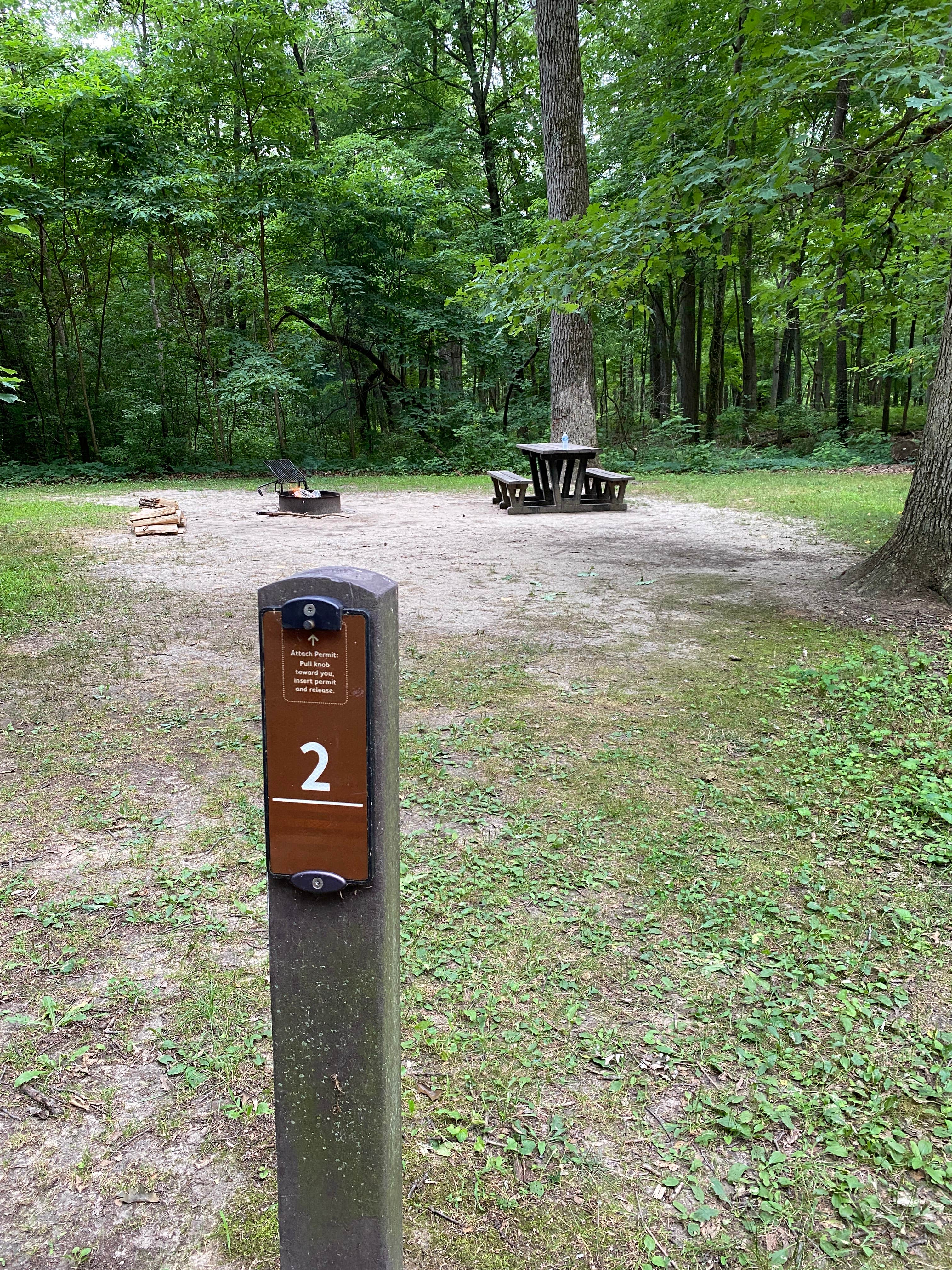 Camper submitted image from White Oak Campground - 5