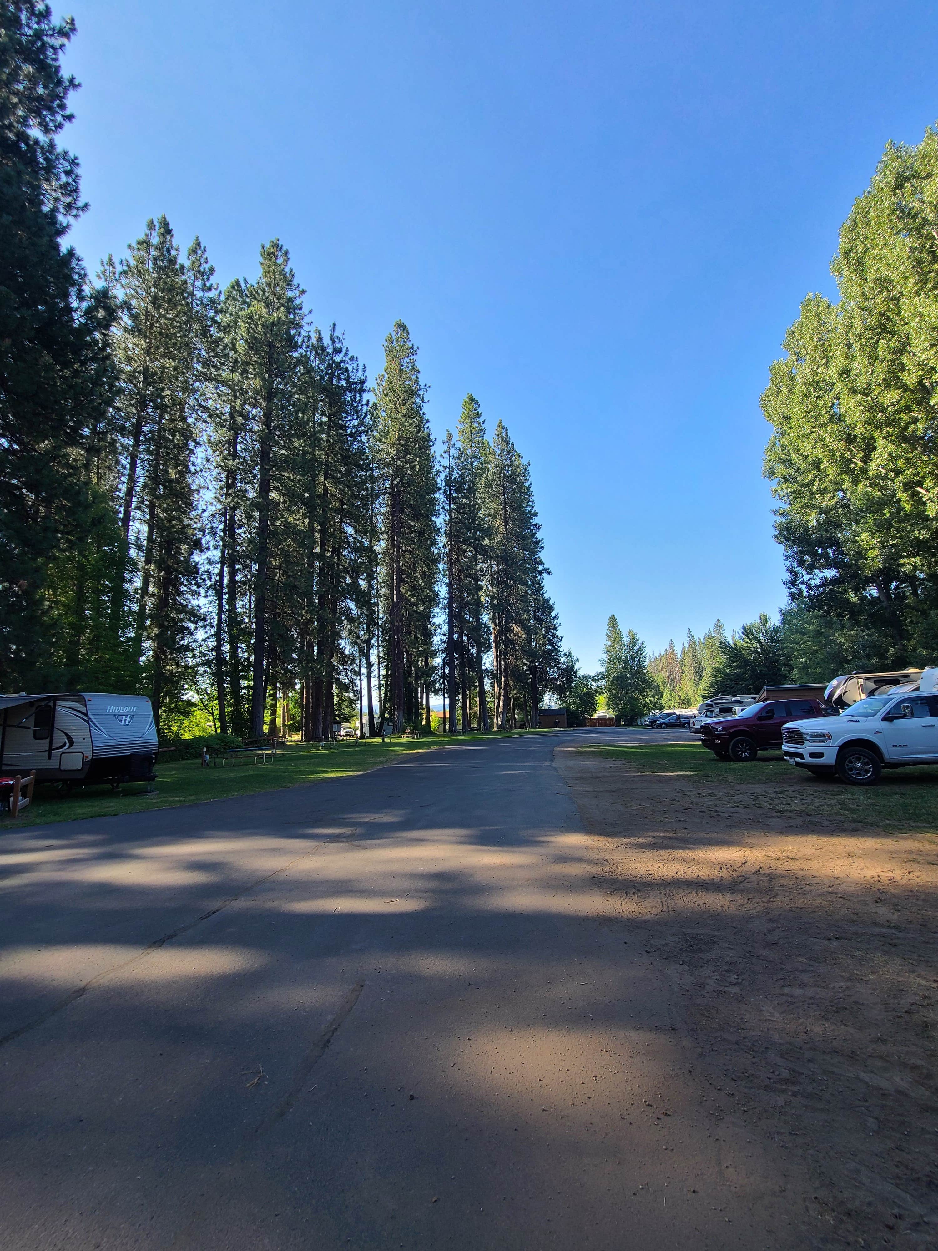 Camper-submitted photo at McCloud RV Resort near Weed, CA