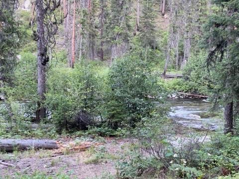 Camper-submitted photo at Secesh Horse Camp near Cascade, ID