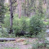 Review photo of Secesh Horse Camp by Skyeriver  ., August 4, 2020