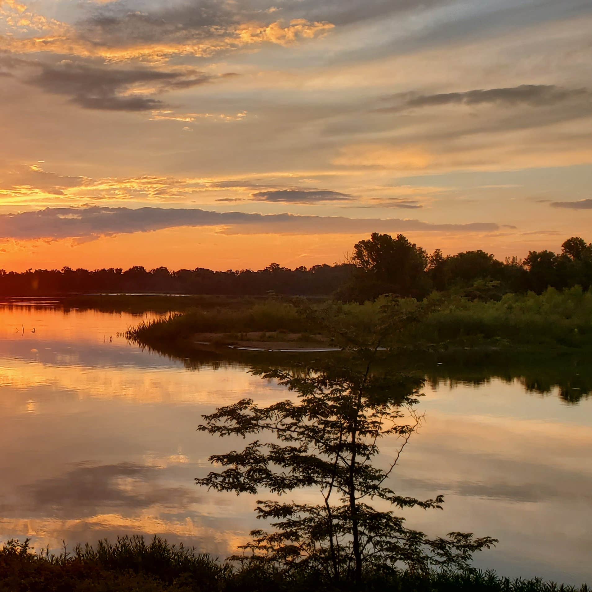 Willow Beach Camping The Dyrt