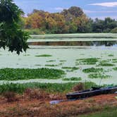 Review photo of Willow Beach by Jeff R., August 4, 2020