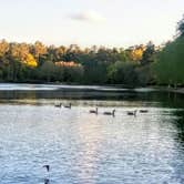 Review photo of Sesquicentennial State Park Campground by Tara M., April 17, 2018