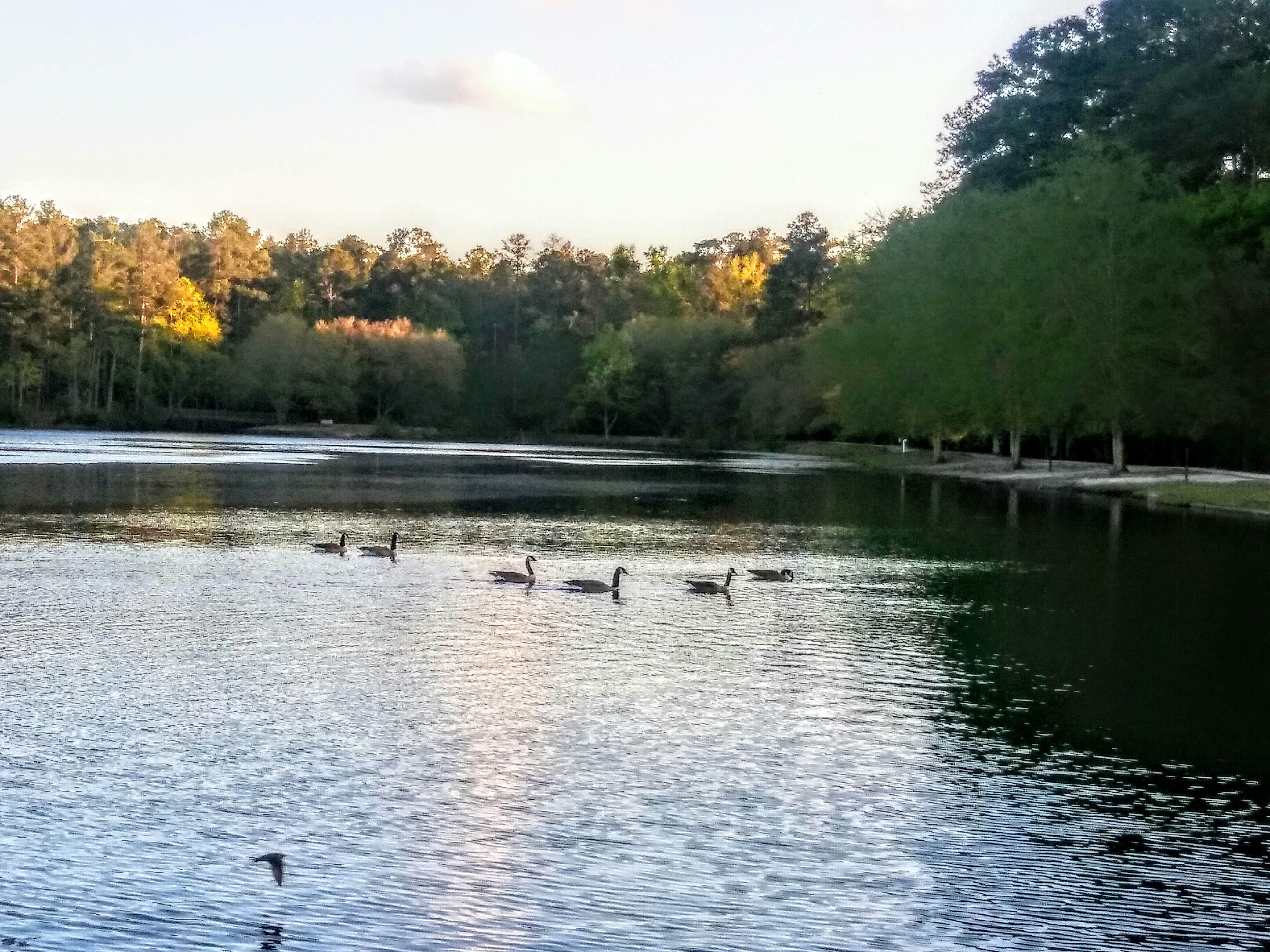 Camper submitted image from Sesquicentennial State Park Campground - 5