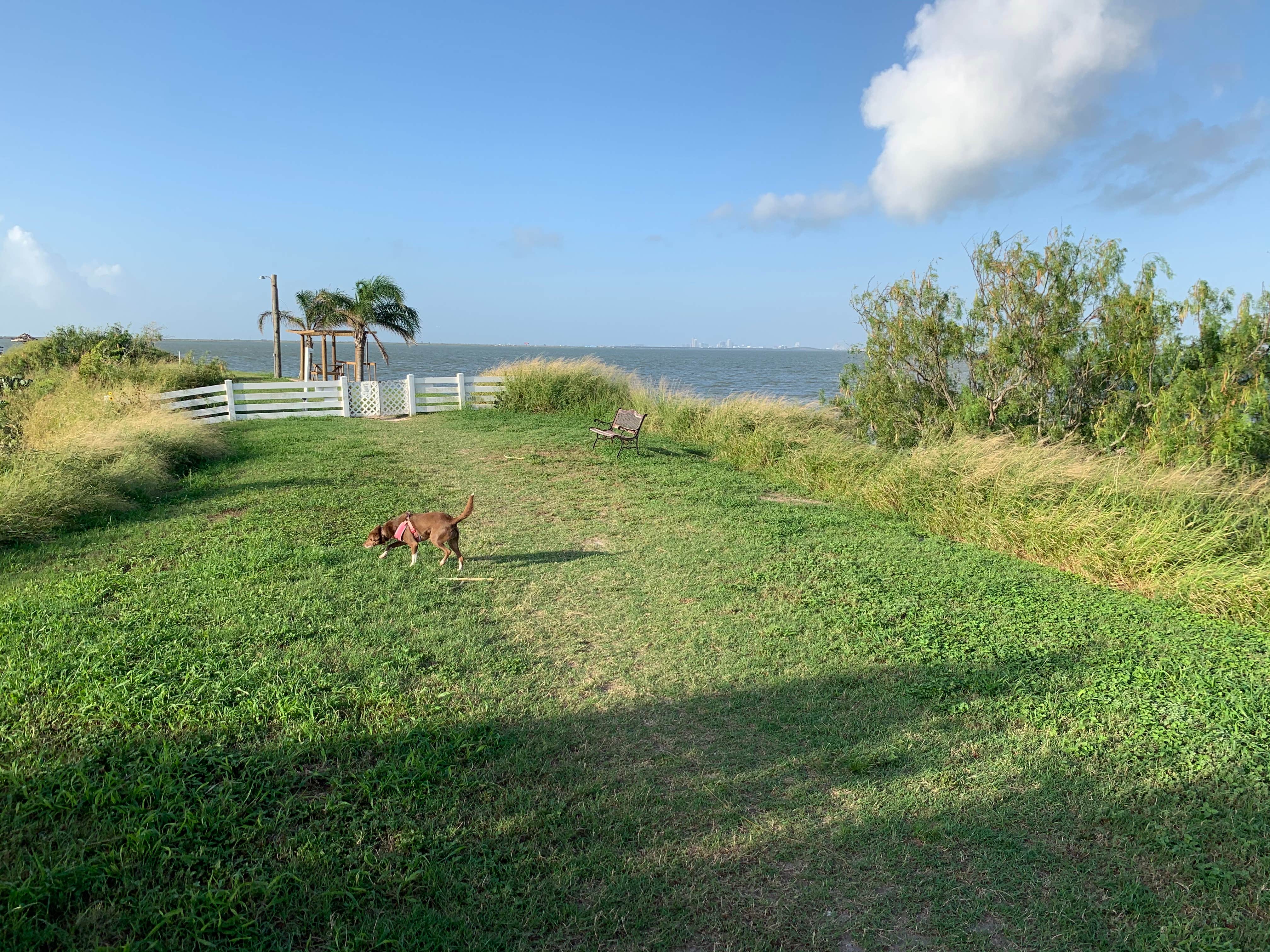 Camper-submitted photo at Sea Breeze RV Community Resort near Corpus Christi, TX