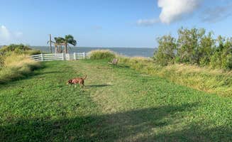 Steph H.'s photo of camping with pets at Sea Breeze RV Community Resort near Padre Island National Seashore