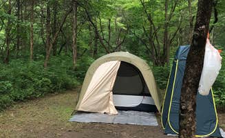 Jennifer C.'s photo at Otter Creek Park Campground near Fairdale, KY