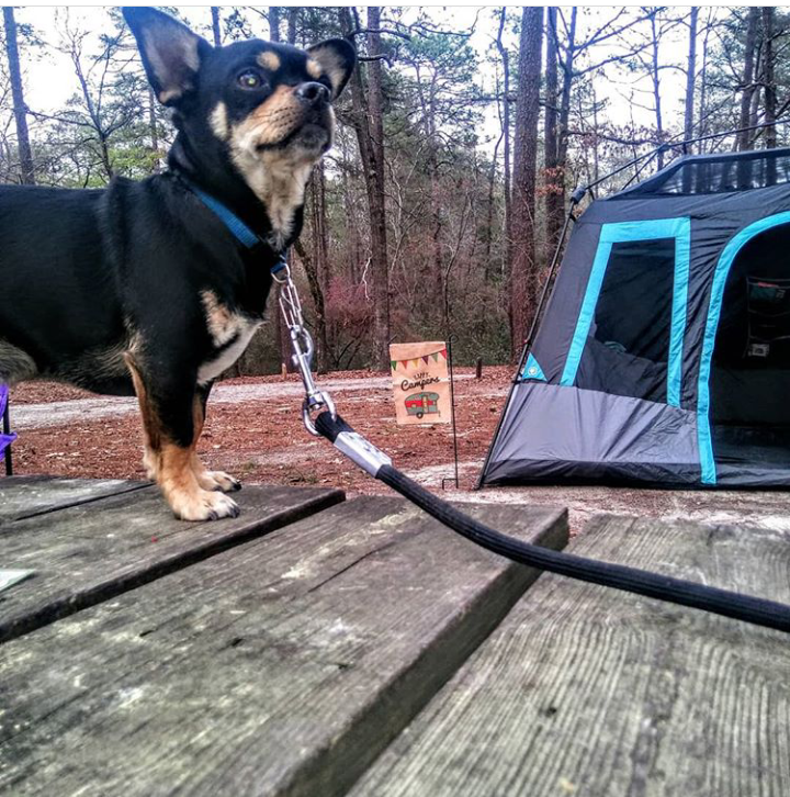 Camper submitted image from Sesquicentennial State Park Campground - 4
