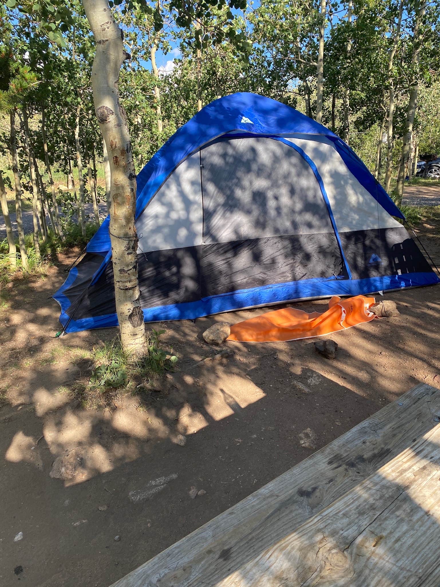 Molly K.'s photo of tent camping at Base Campground near Steamboat Springs, CO