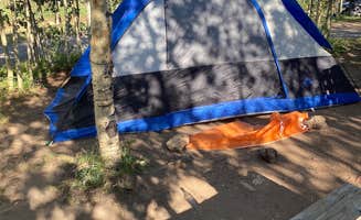 Molly K.'s photo of tent camping at Base Campground near Yampa, CO