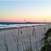 Review photo of Myrtle Beach State Park Campground by Tara M., April 17, 2018