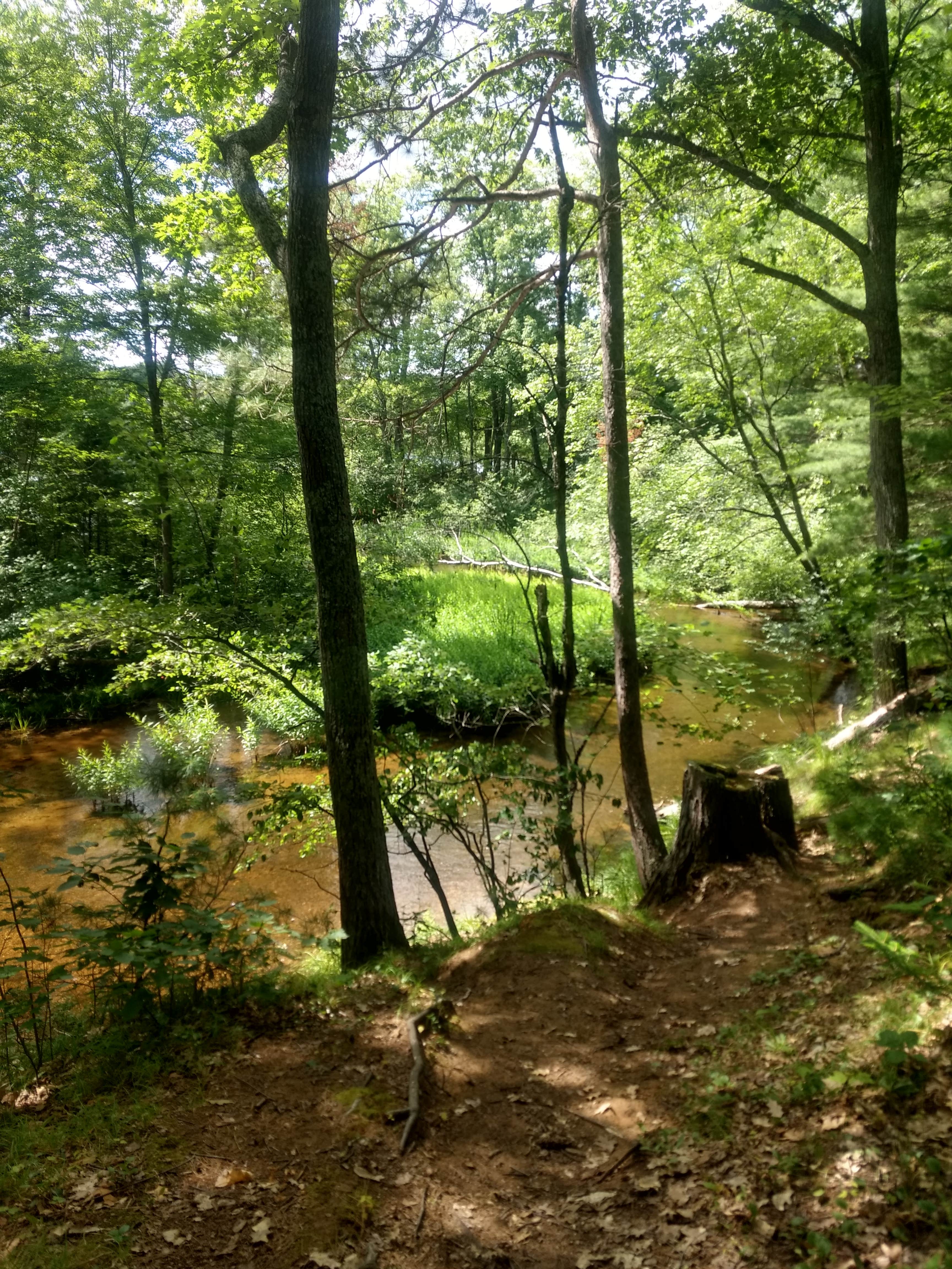 Camper-submitted photo at Plum Lake — Northern Highland State Forest near Sayner, WI