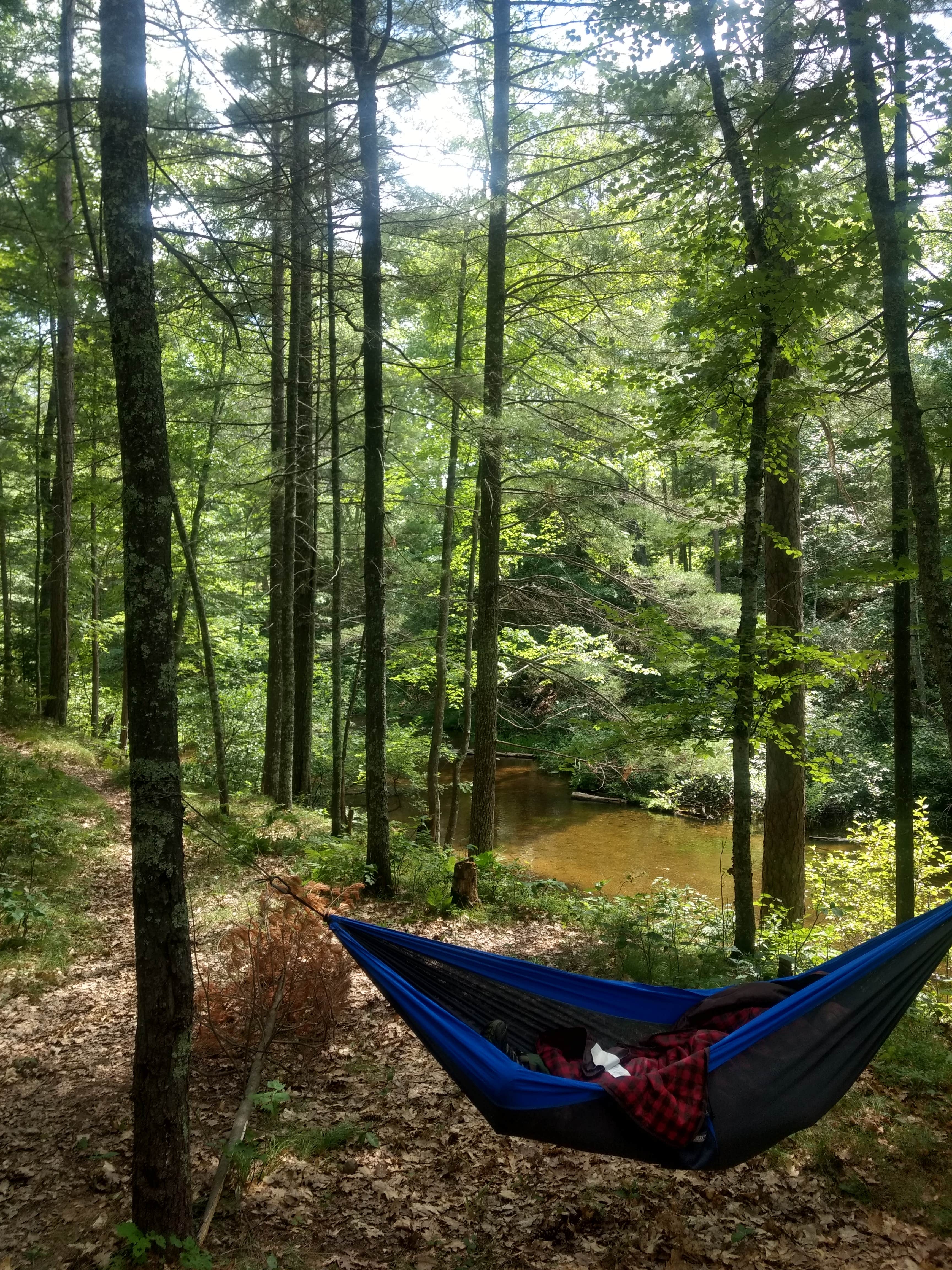 Camper submitted image from Plum Lake — Northern Highland State Forest - 4