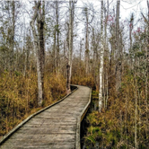 Review photo of Lee State Park Campground by Tara M., April 17, 2018