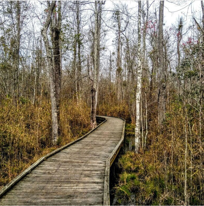 Camper submitted image from Lee State Park Campground - 2