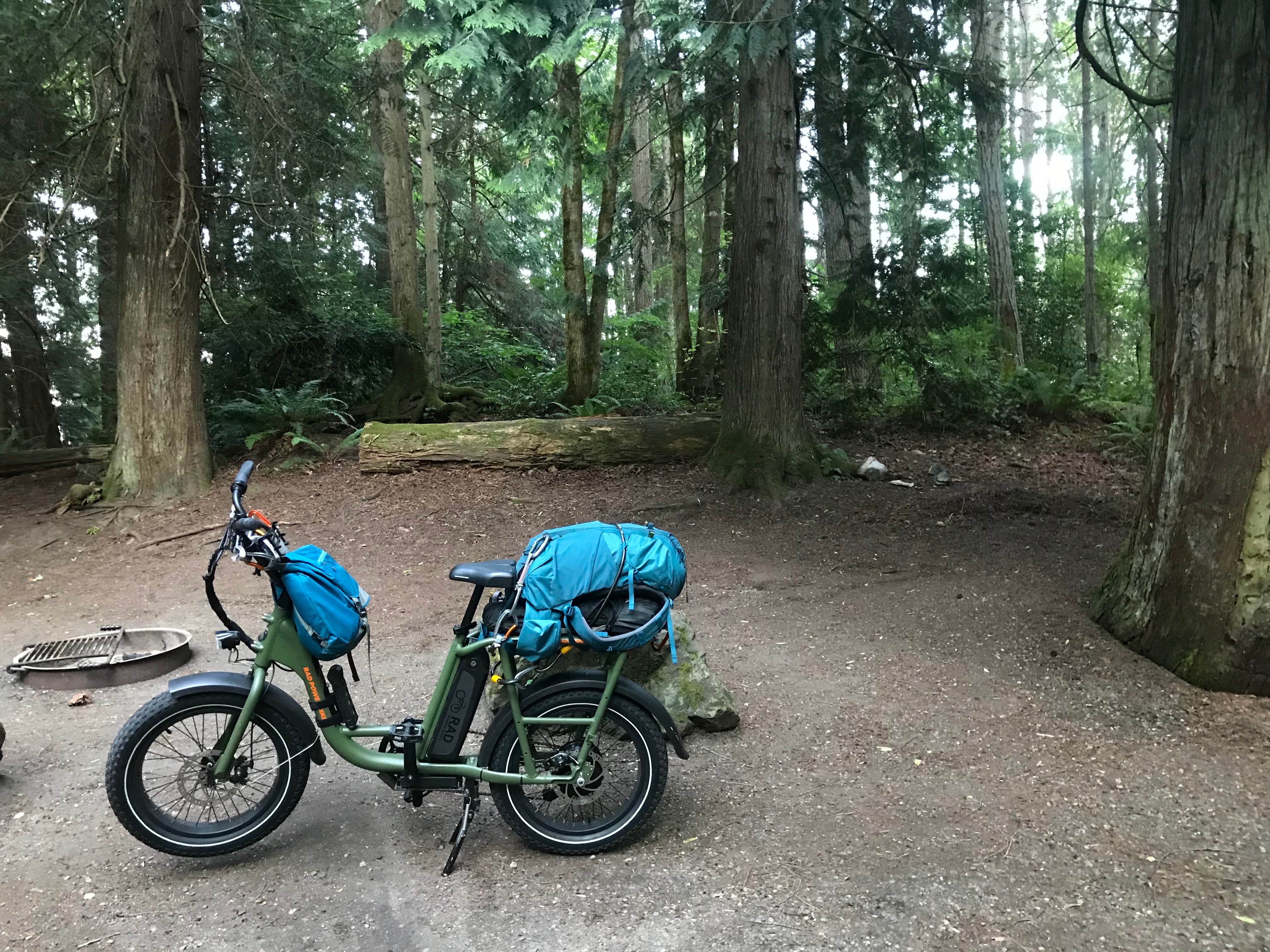 Camper submitted image from Manchester State Park Campground - 3