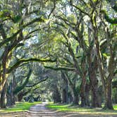 Review photo of Skidaway Island State Park Campground by Kevin A., August 4, 2020