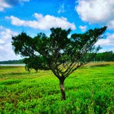 Review photo of Skidaway Island State Park Campground by Kevin A., August 4, 2020