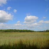 Review photo of Skidaway Island State Park Campground by Kevin A., August 4, 2020