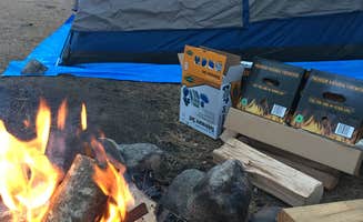 Abby D.'s photo at Buckeye Campground near Hawthorne, NV
