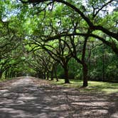 Review photo of Skidaway Island State Park Campground by Kevin A., August 4, 2020