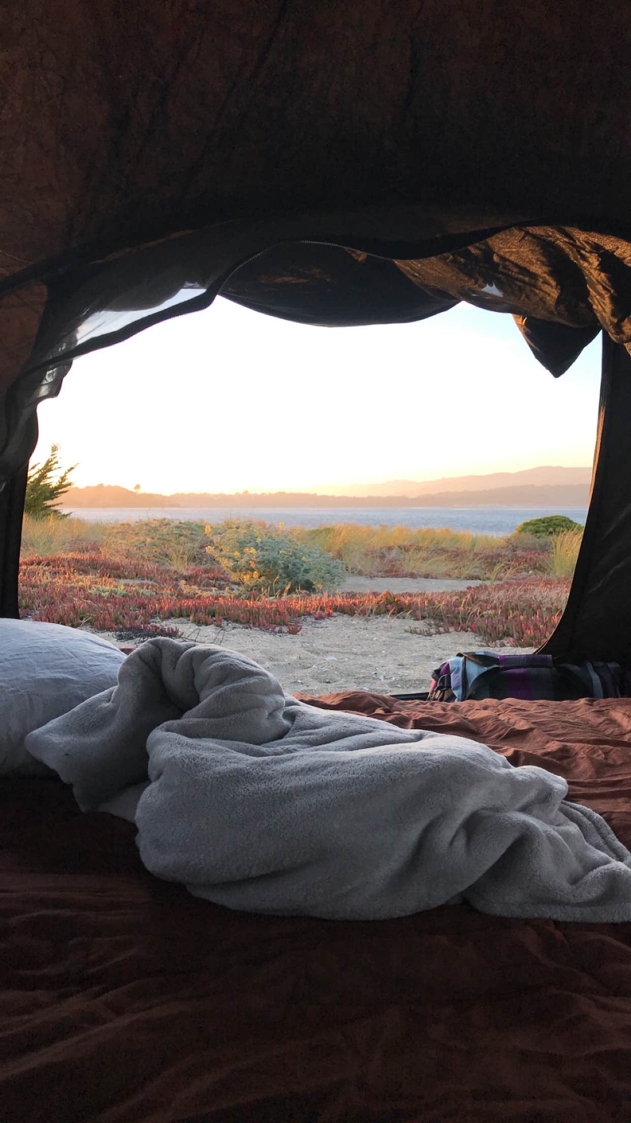 Josh T.'s photo at Doran Campground near Bridgehaven, CA