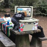 Review photo of San Mateo Memorial Park by Josh T., August 4, 2020
