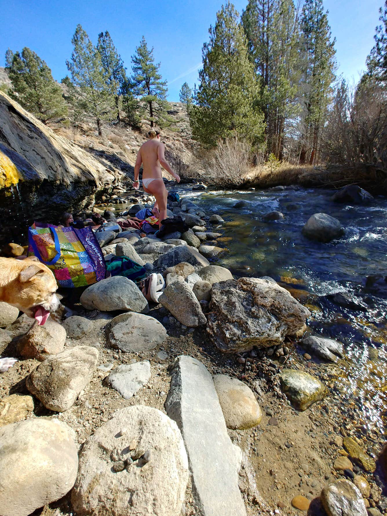 Camper submitted image from Buckeye Campground - 5
