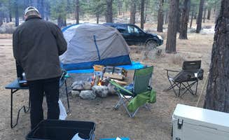 Abby D.'s photo at Buckeye Campground near Bridgeport, CA