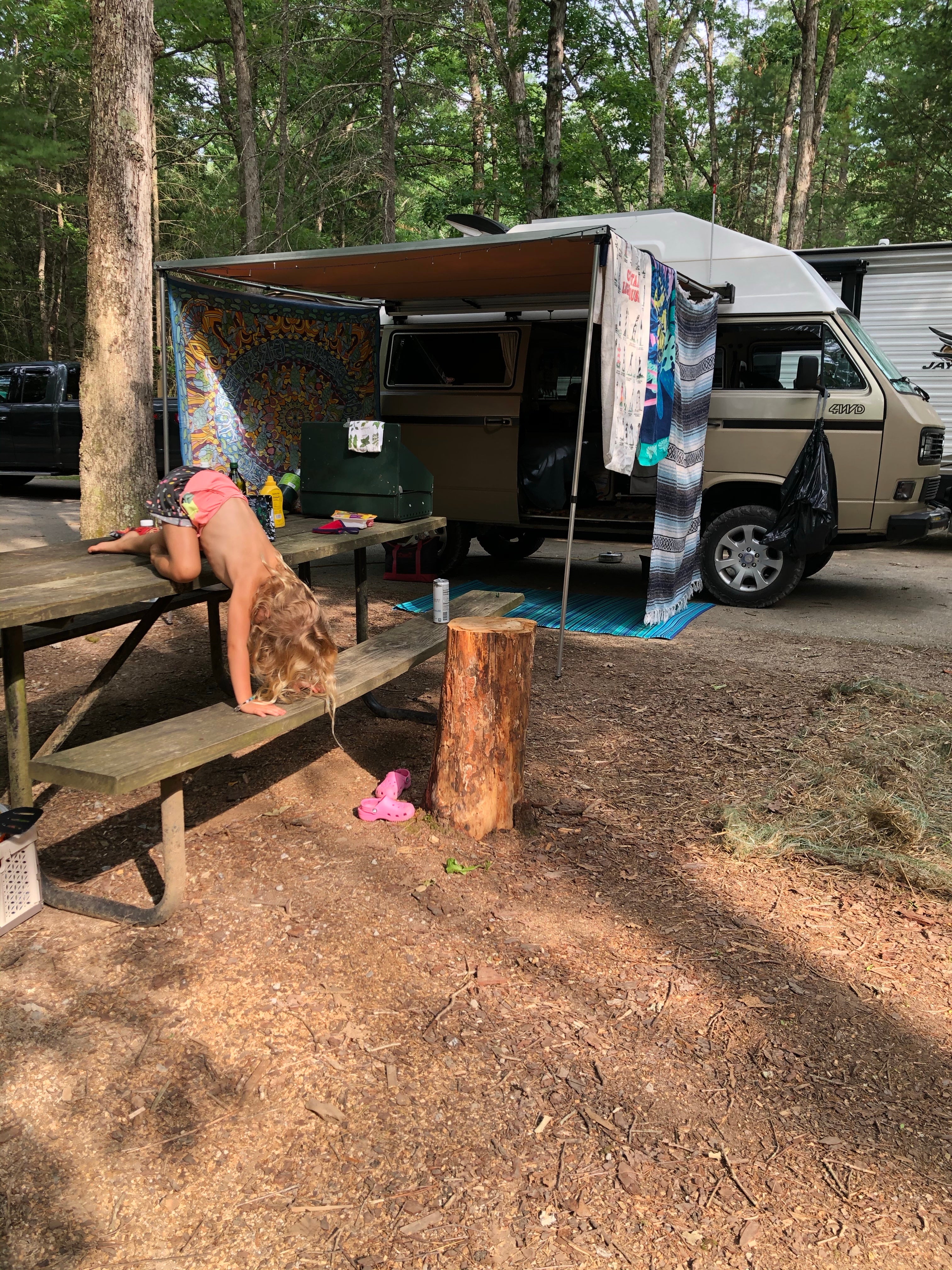 Camper submitted image from Caledonia State Park Campground - 1