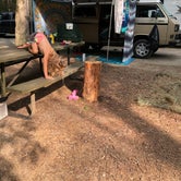 Review photo of Caledonia State Park Campground by Glen W., August 4, 2020
