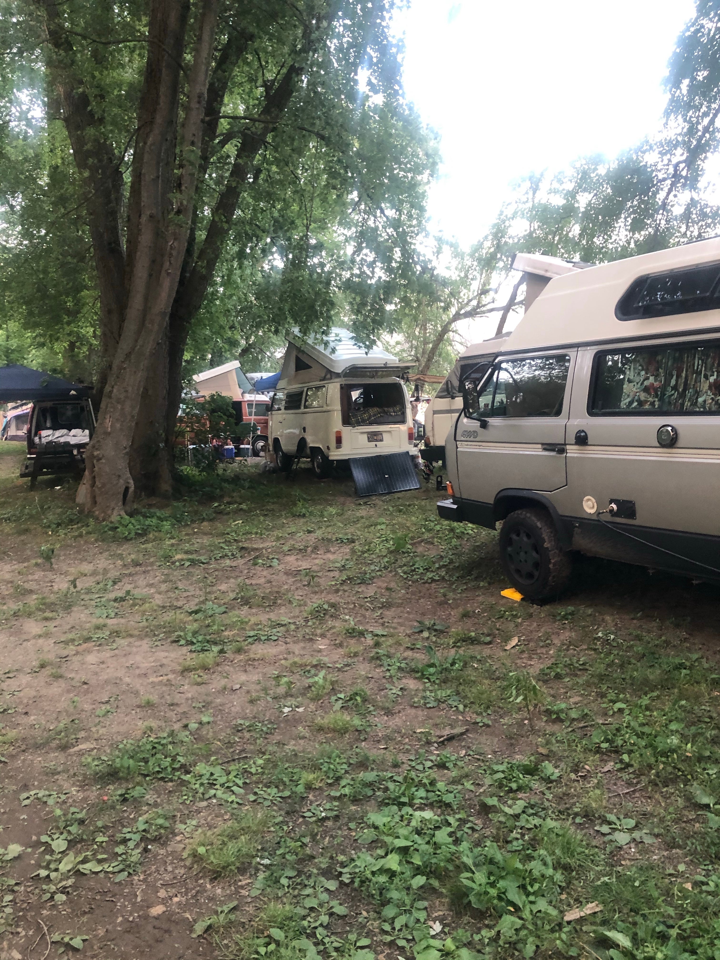 Camper submitted image from Riverfront Campground - 1