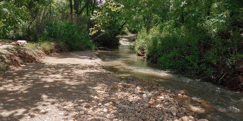 Camper submitted image from Celtic Camp