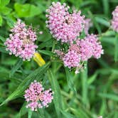 Review photo of Prairie Flower Recreation Area by Lee D., August 4, 2020