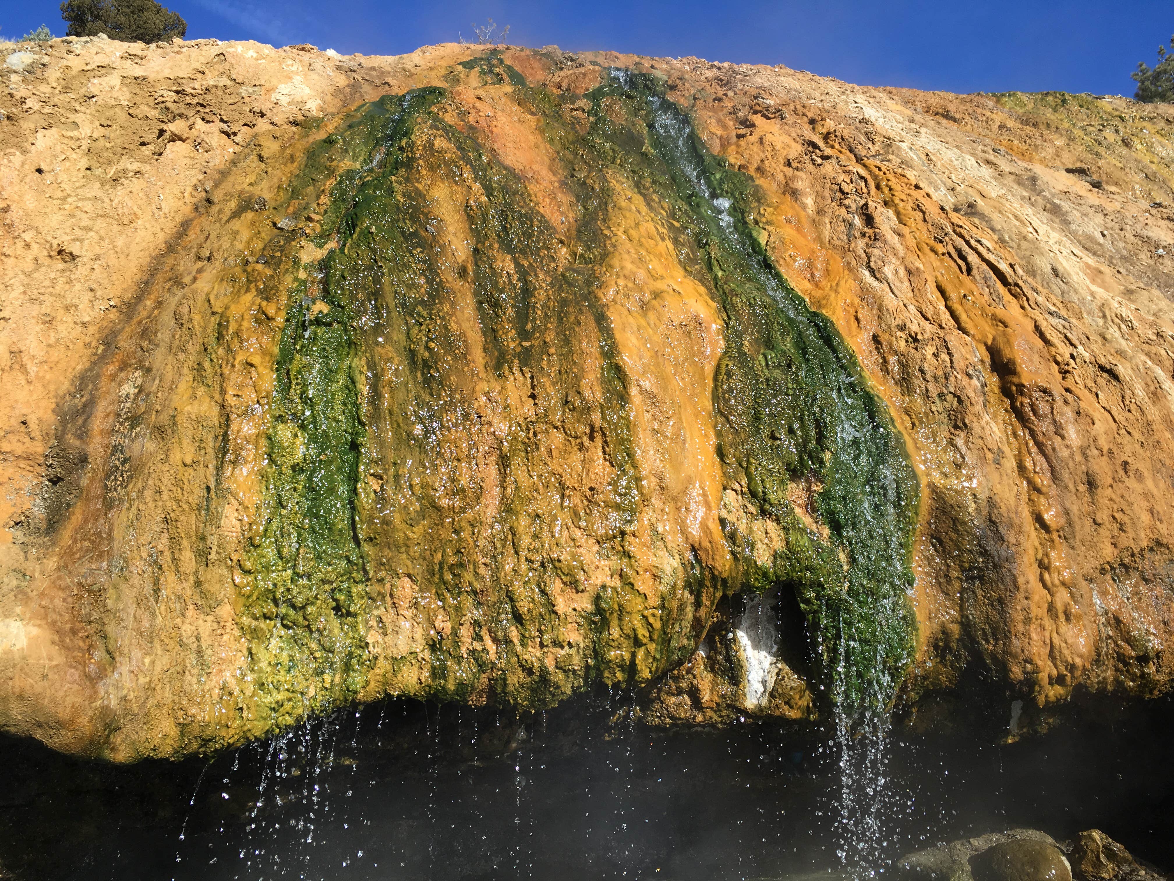 Camper-submitted photo at Buckeye Campground near Coleville, CA