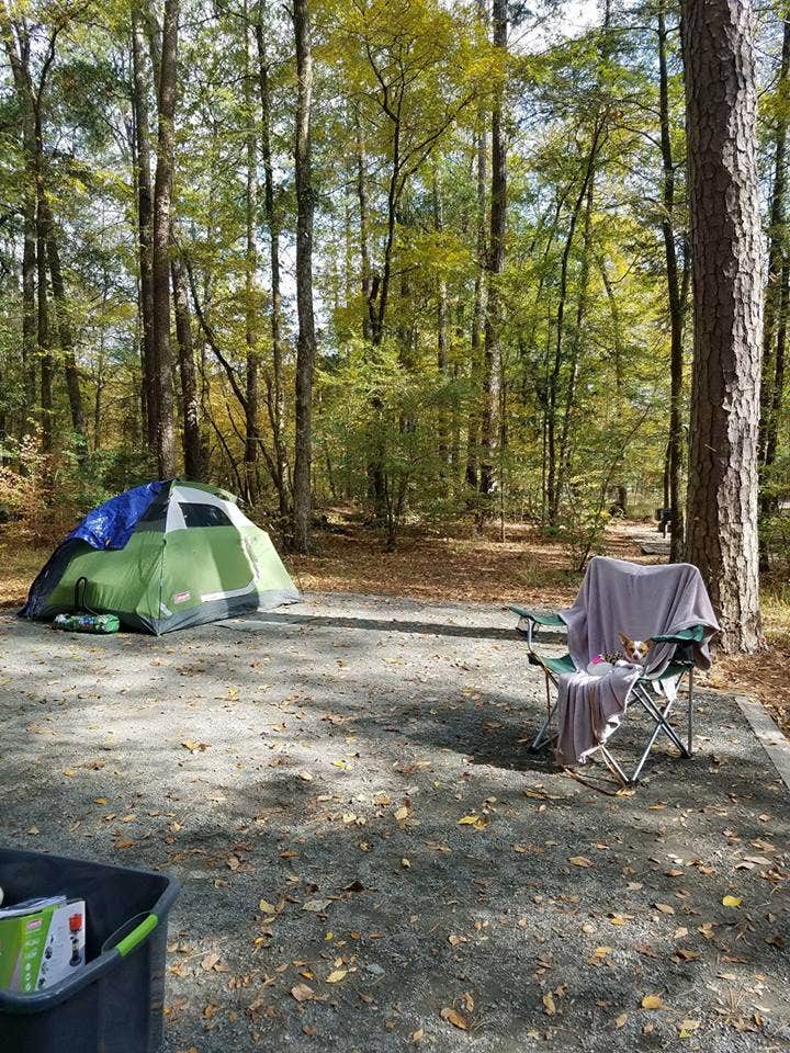 Deb B.'s photo at Cossatot Falls Campsites — Cossatot River State Park - Natural Area near Gillham Lake