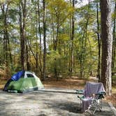 Review photo of Cossatot Falls Campsites — Cossatot River State Park - Natural Area by Deb B., April 17, 2018