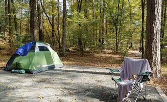 Deb B.'s photo at Cossatot Falls Campsites — Cossatot River State Park - Natural Area near Wickes, AR