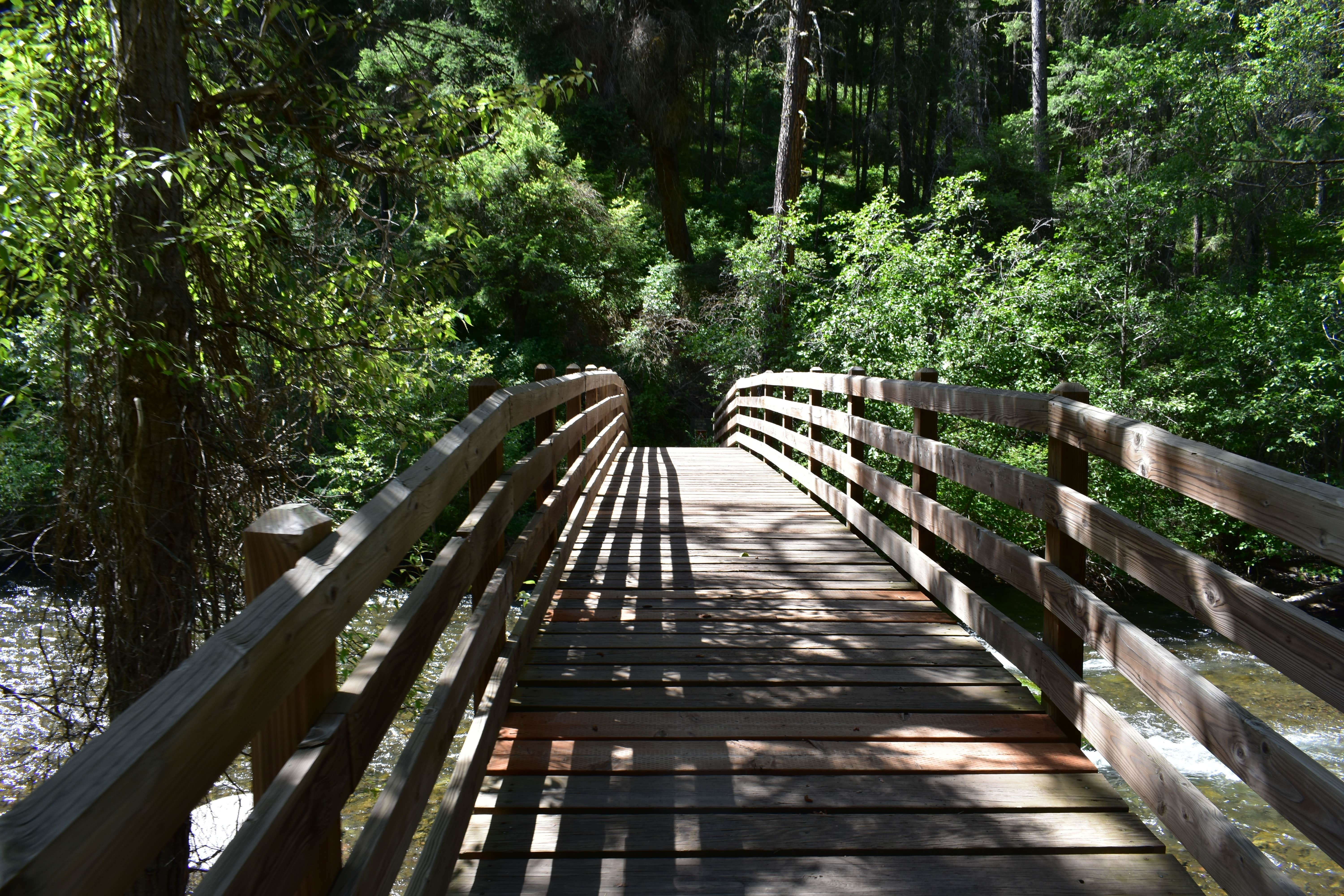 Escape To Oregon’s Emerald Gem: Catherine Creek State Park