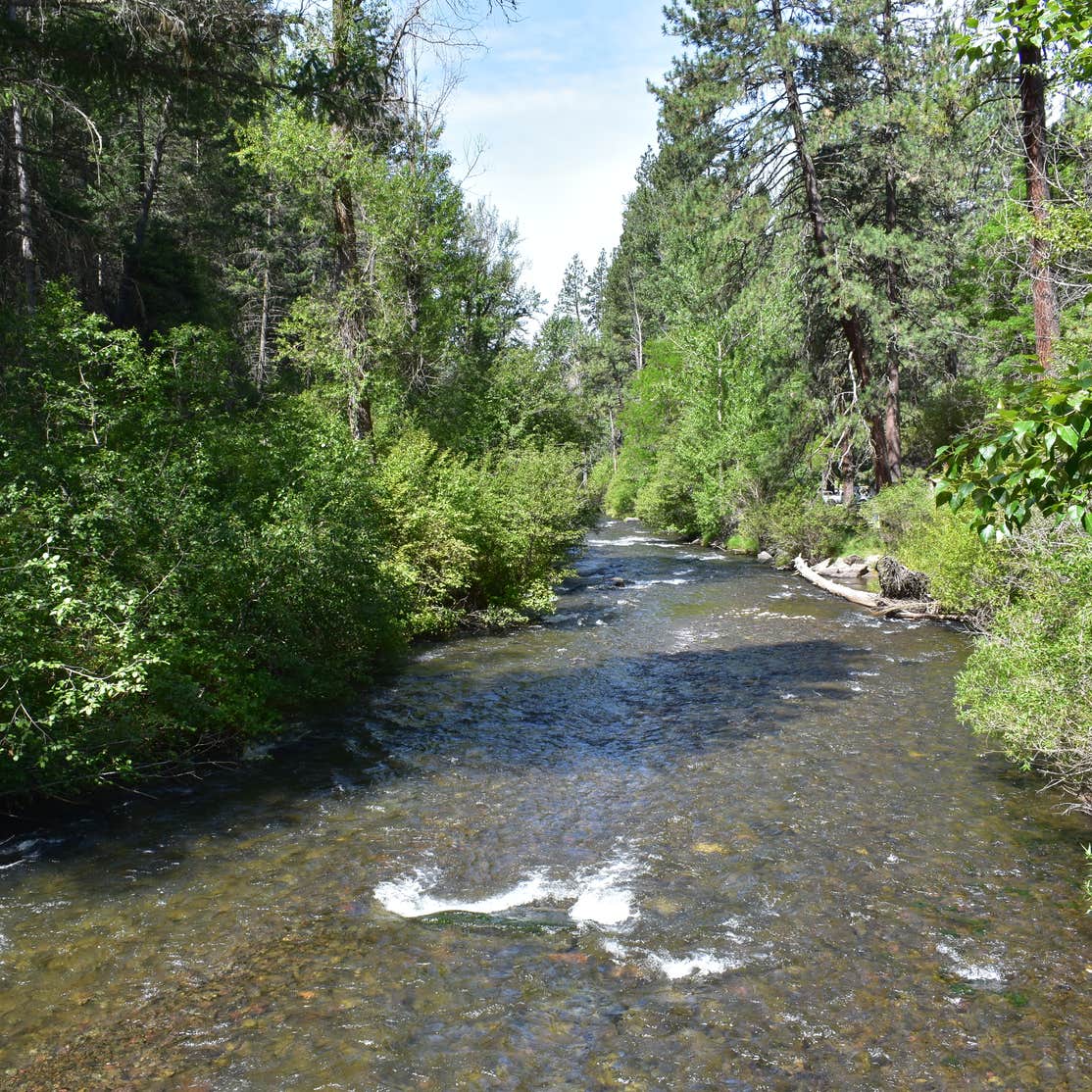 Catherine Creek State Park Camping | The Dyrt