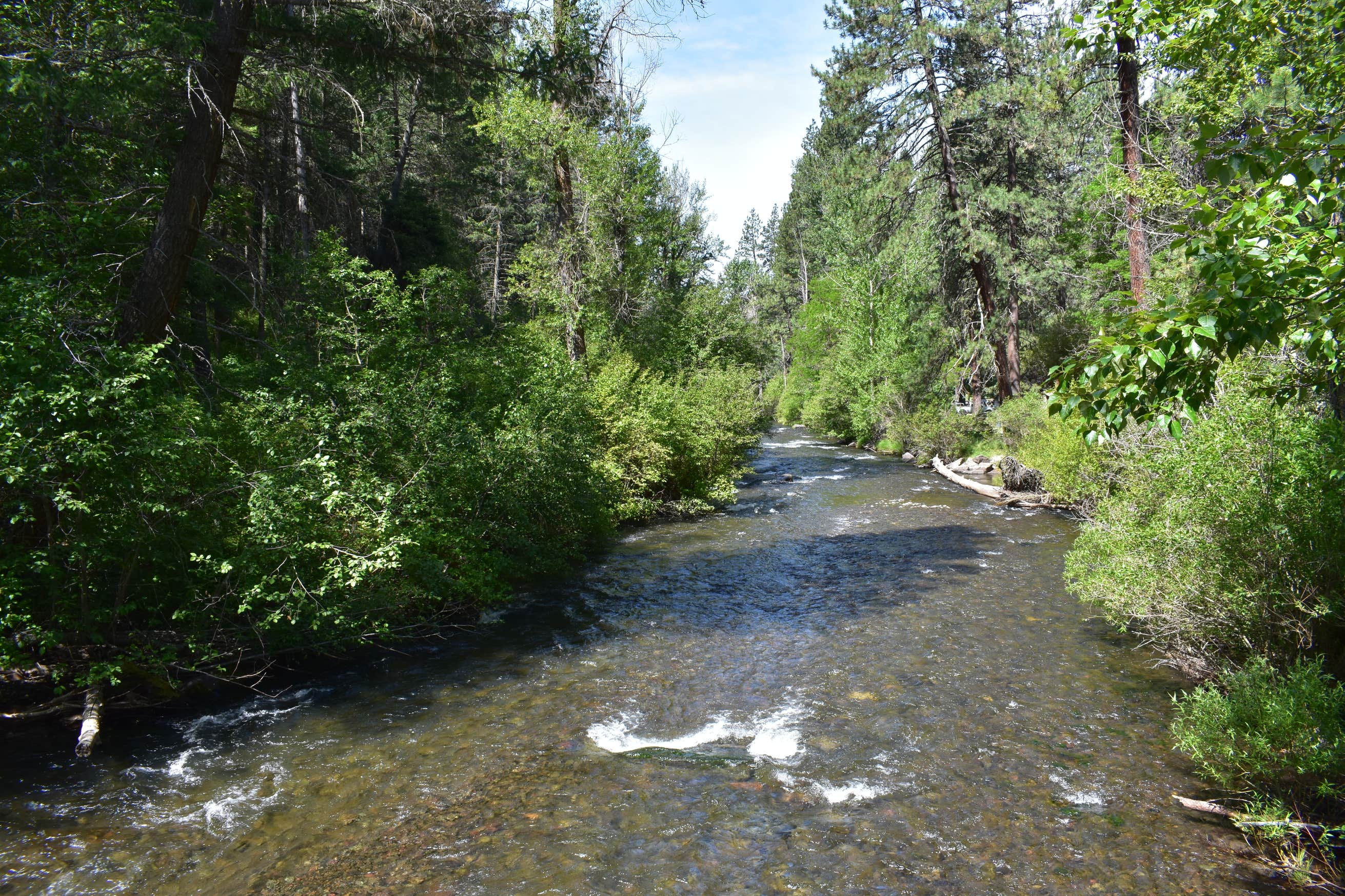 Catherine Creek State Park | The Dyrt