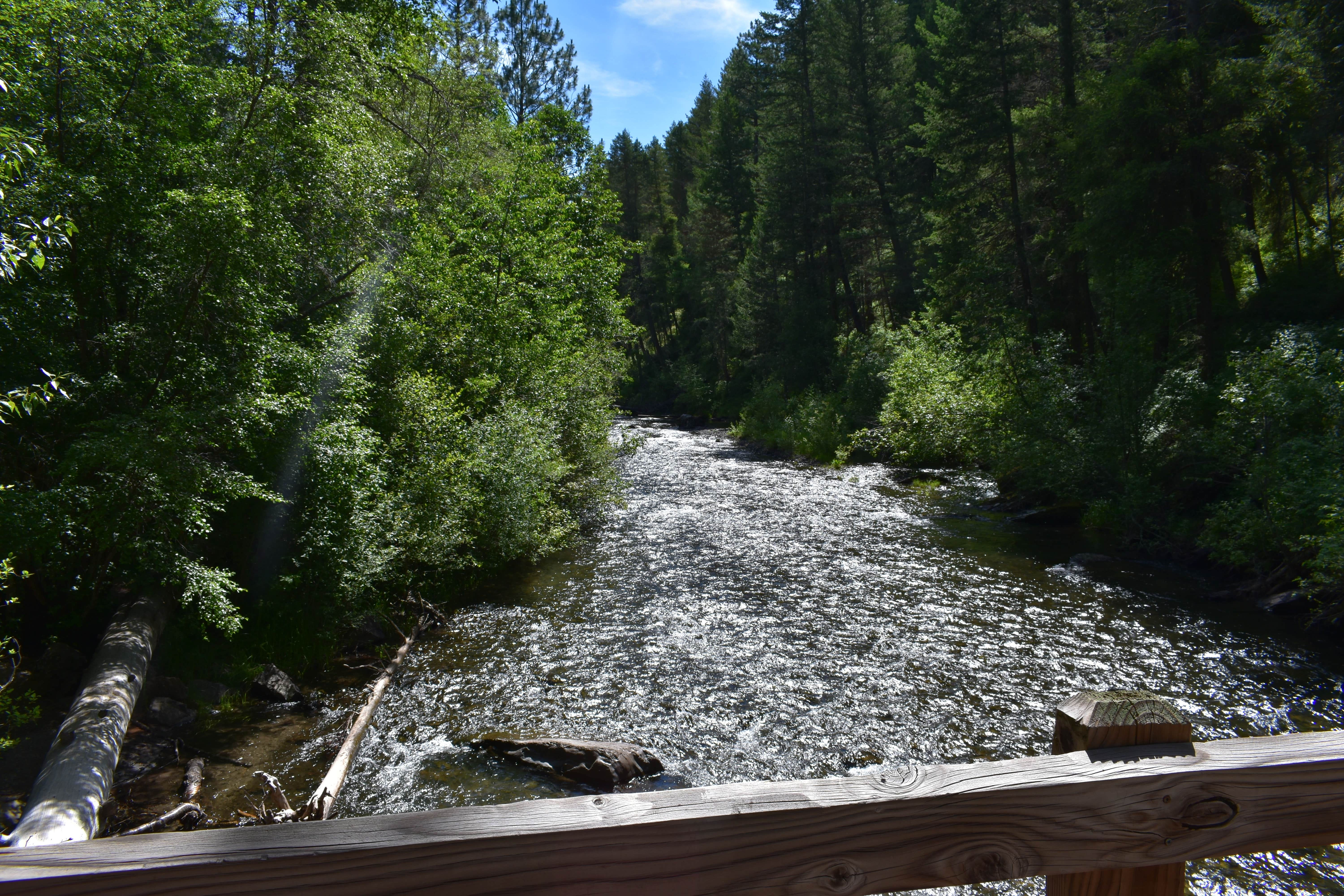 Camper submitted image from Catherine Creek State Park Campground - 2